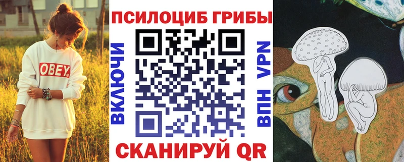 Галлюциногенные грибы мицелий  сколько стоит  даркнет наркотические препараты  Ирбит 